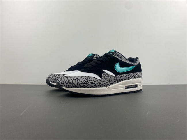 Air Max 1 Premium 908366-001
