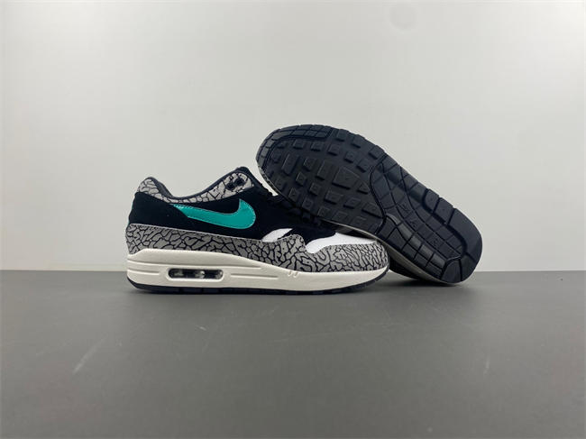 Air Max 1 Premium 908366-001