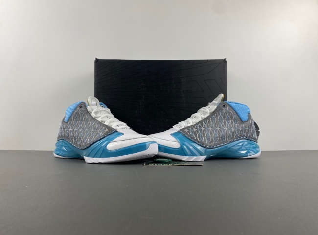 Air Jordan 23 OG 318376-001